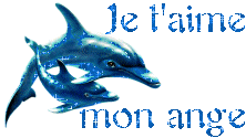 mon amour